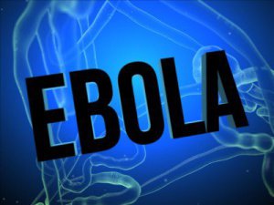 Photo from:http://www.globalresearch.ca/wp-content/uploads/2014/10/ebola-400x300.jpg